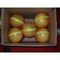 Honey Pomelo Fresh New Crop